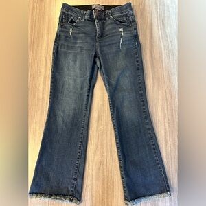 Democracy “Ab” Technology Jeans Style BN2408TVYJ, Size 4